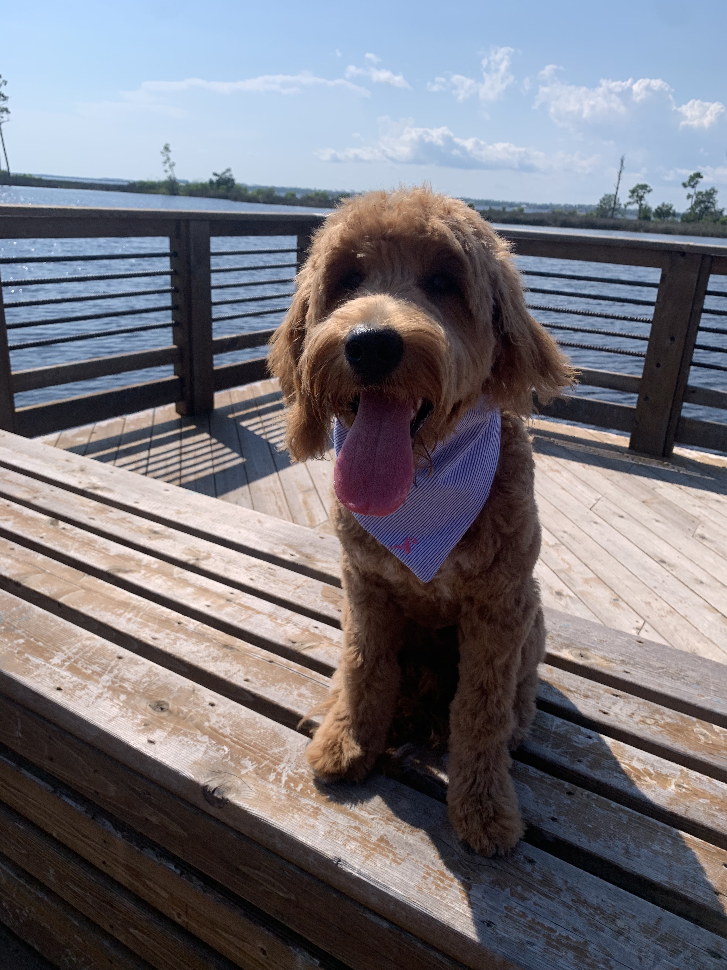 Dock at Lynn Haven Bayou Preserve Park