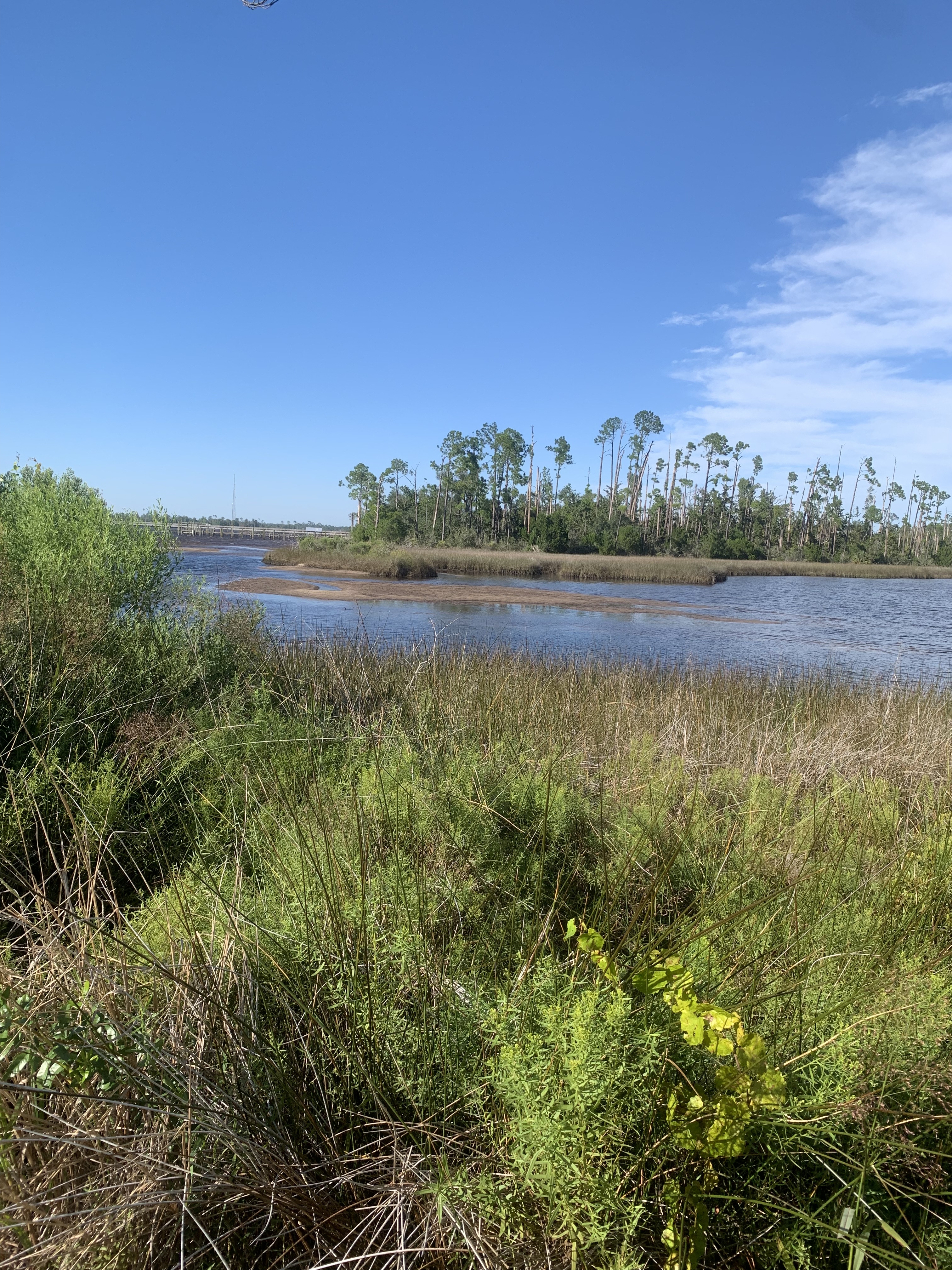 Lynn Haven Bayou Preserve Park