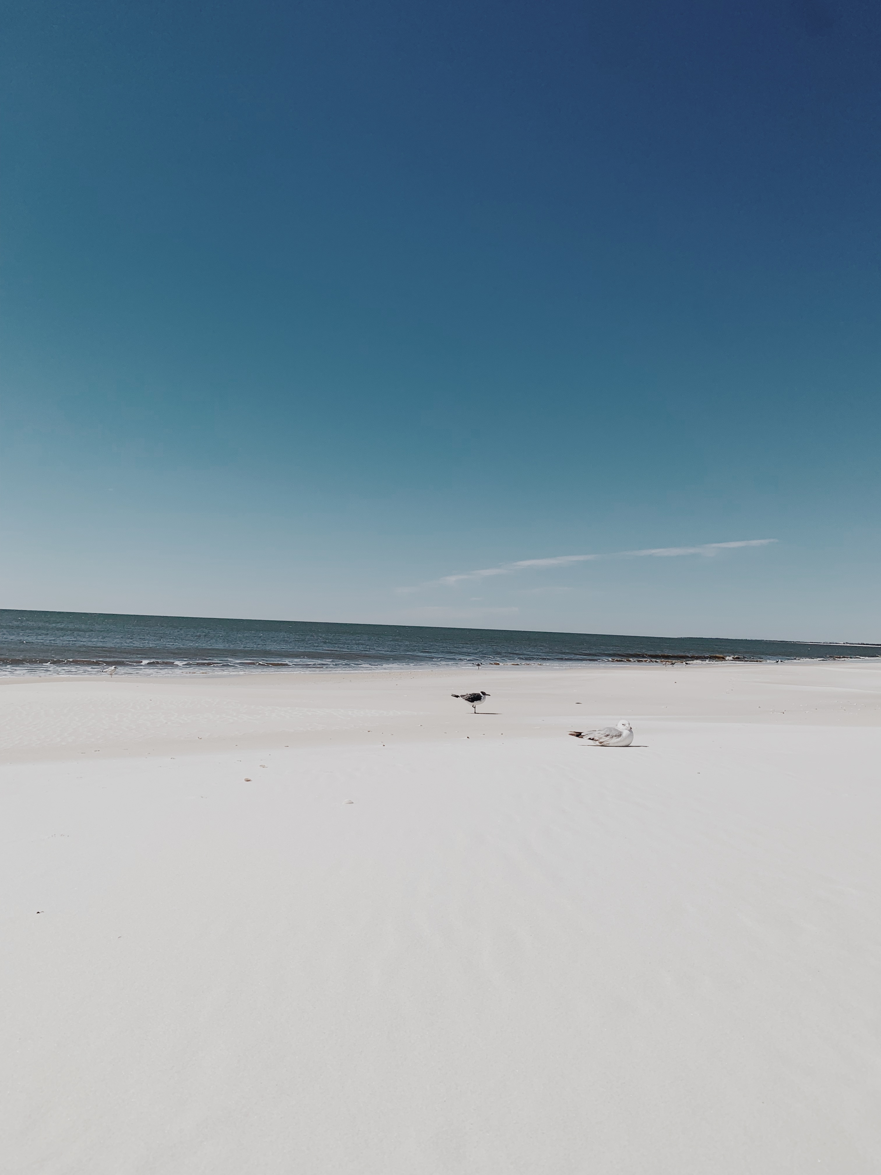 Mexico Beach in Bay County