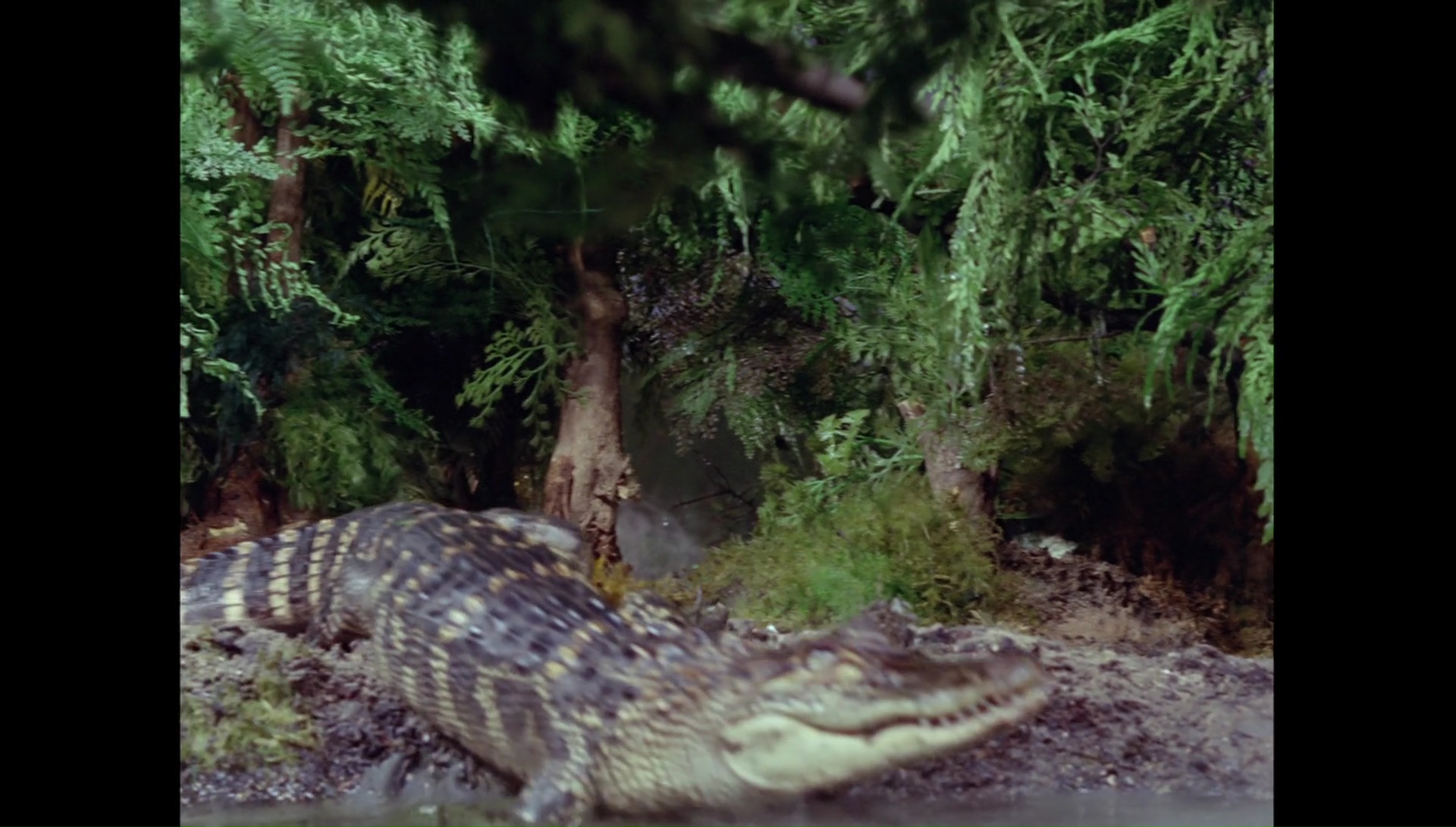 attackofthealligators00017