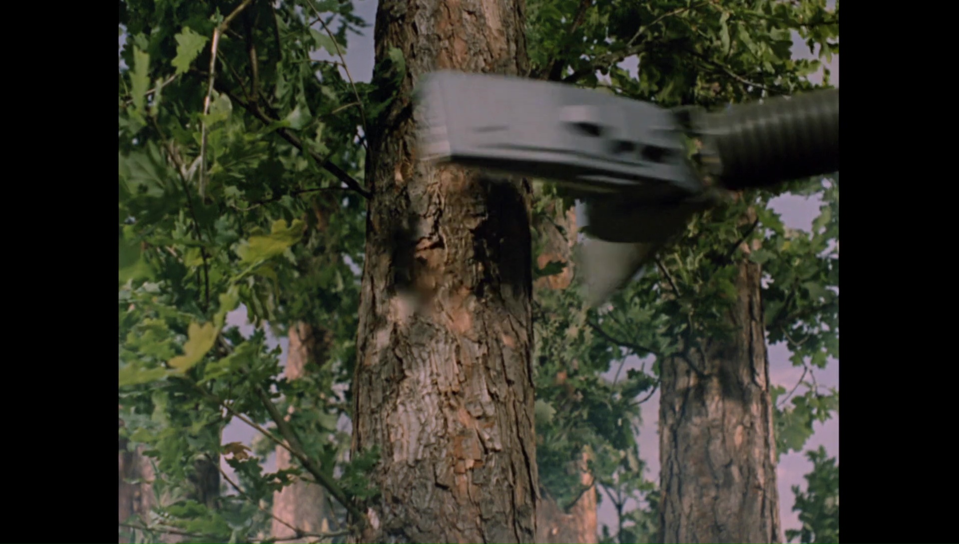 pathofdestruction00014