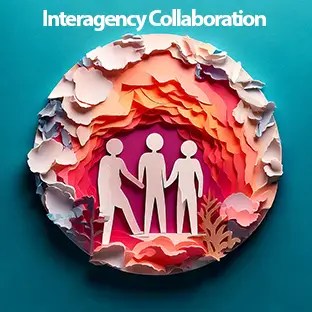 Interagency Collaboration