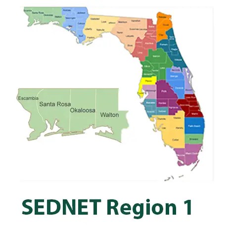 SEDNET Region 1 detail