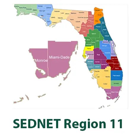 SEDNET Region 11 detail