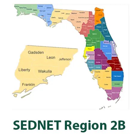 SEDNET Region 2B detail