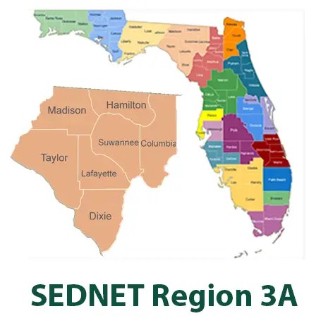 SEDNET Region 3A detail