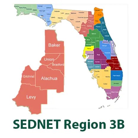 SEDNET Region 3B detail