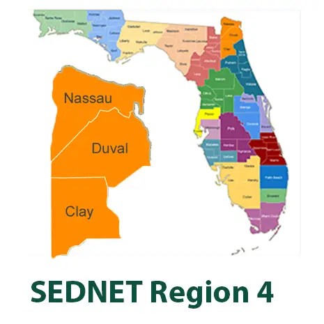 SEDNET Region 4 detail
