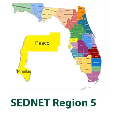 SEDNET Region 5 detail