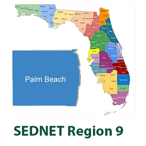 SEDNET Region 9 detail