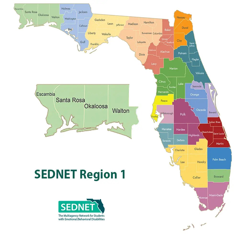SEDNET Region 1 detail