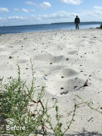 Github Lensfun Lensfun Github Io The Lensfun Website - Amazing Abstract Photo - Retina