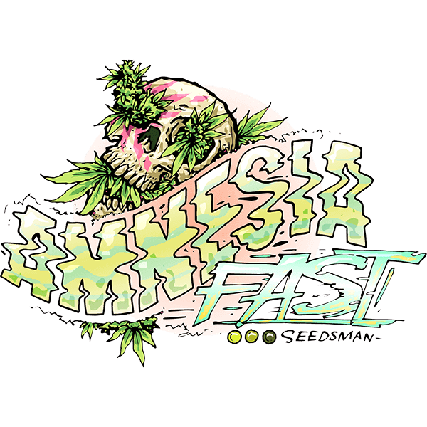 Amnesia FAST Feminised Seeds - 50 Seeds - Seedsman - USA Dropship