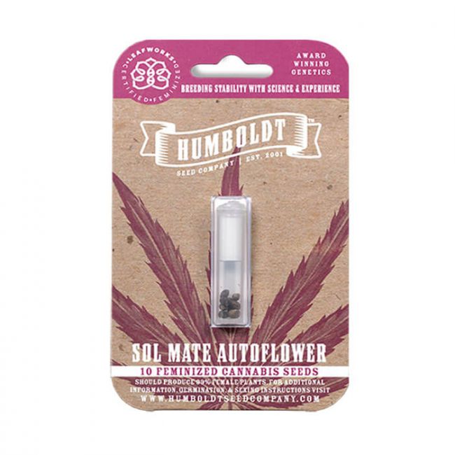 Sol Mate Auto Feminised Seeds - 3 Pack - Humboldt Seed Co.