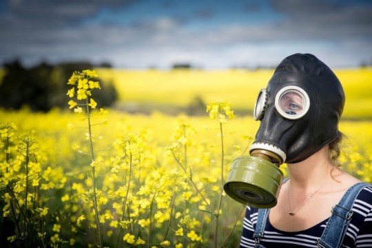 1 lzTqxZHlb_Ud2EYZp1k1GA