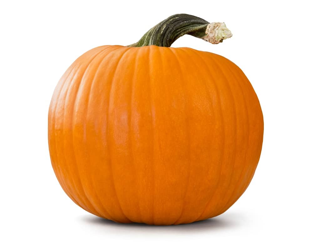 How many pumpkins are there per plant? varieties explained