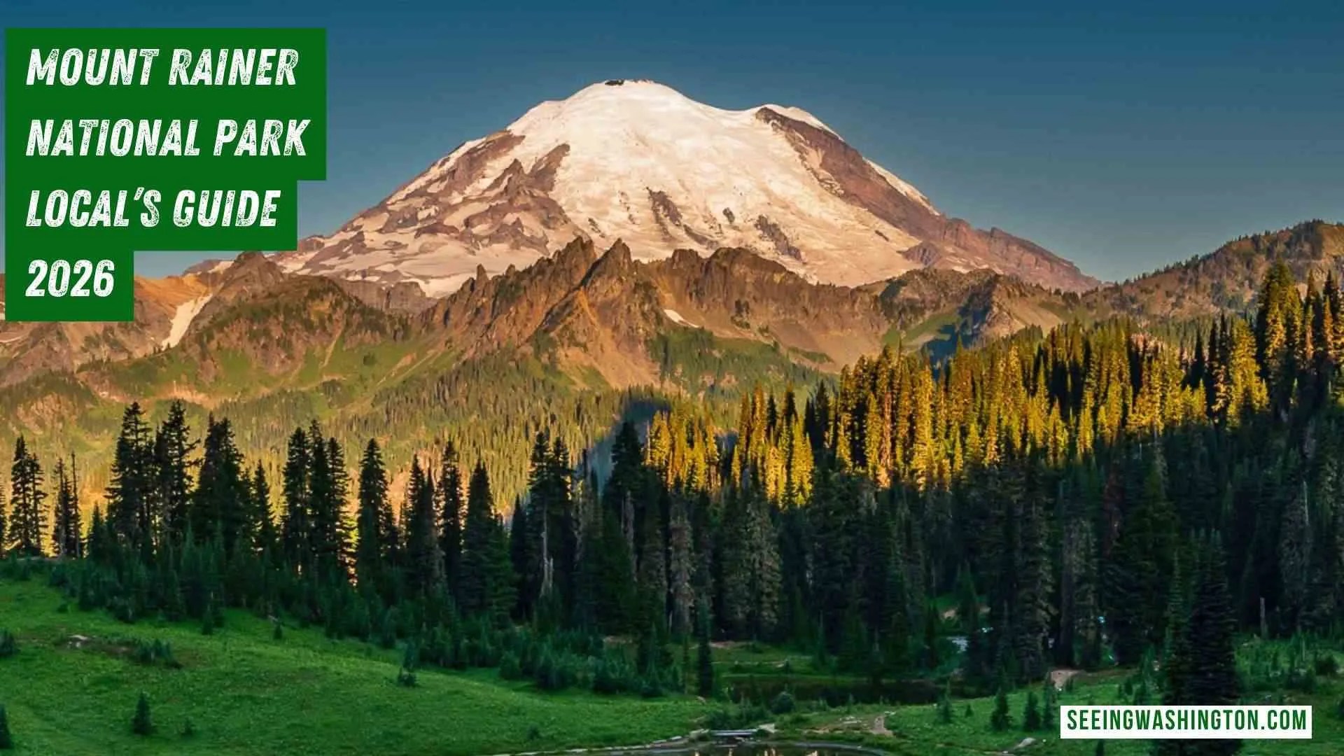 Mount Rainer National Park Hikes Tips Local S 2026 Guide Mount Rainer National Park A Seattle Locals Complete Guide To The