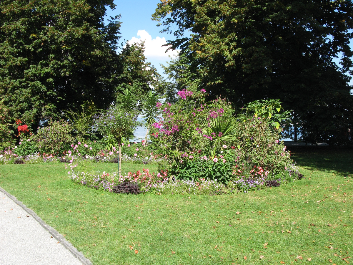 gegenüber vom "Bodensee"