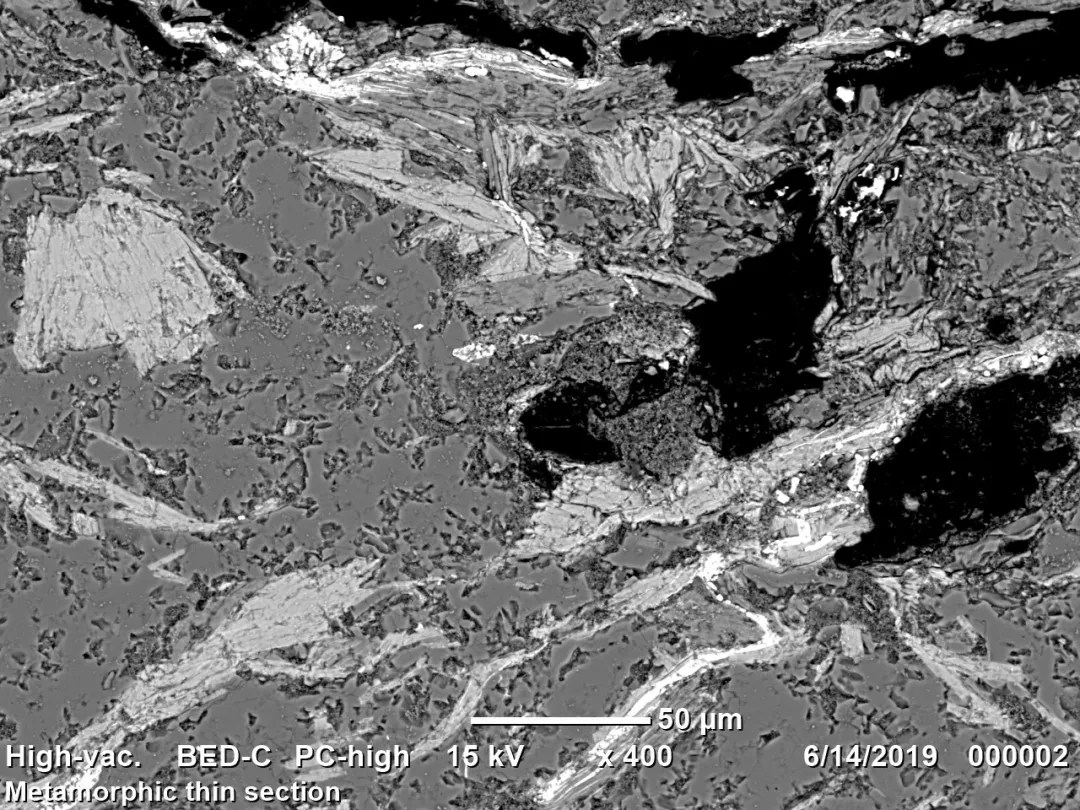 Metamorphic Thin Section