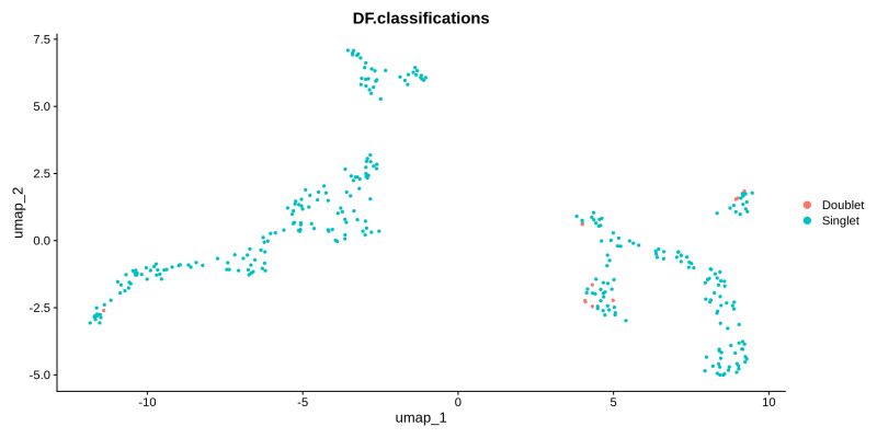 Sefi Uzan Yanshuf Github - Premium Landscape Design Gallery - Desktop