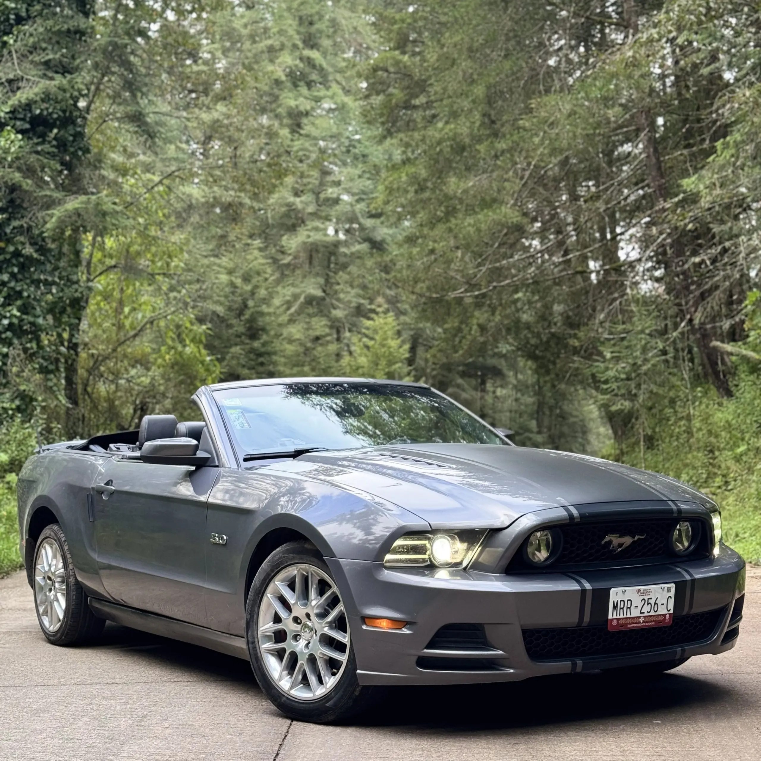 Ford Mustang convertible 5.0 2014