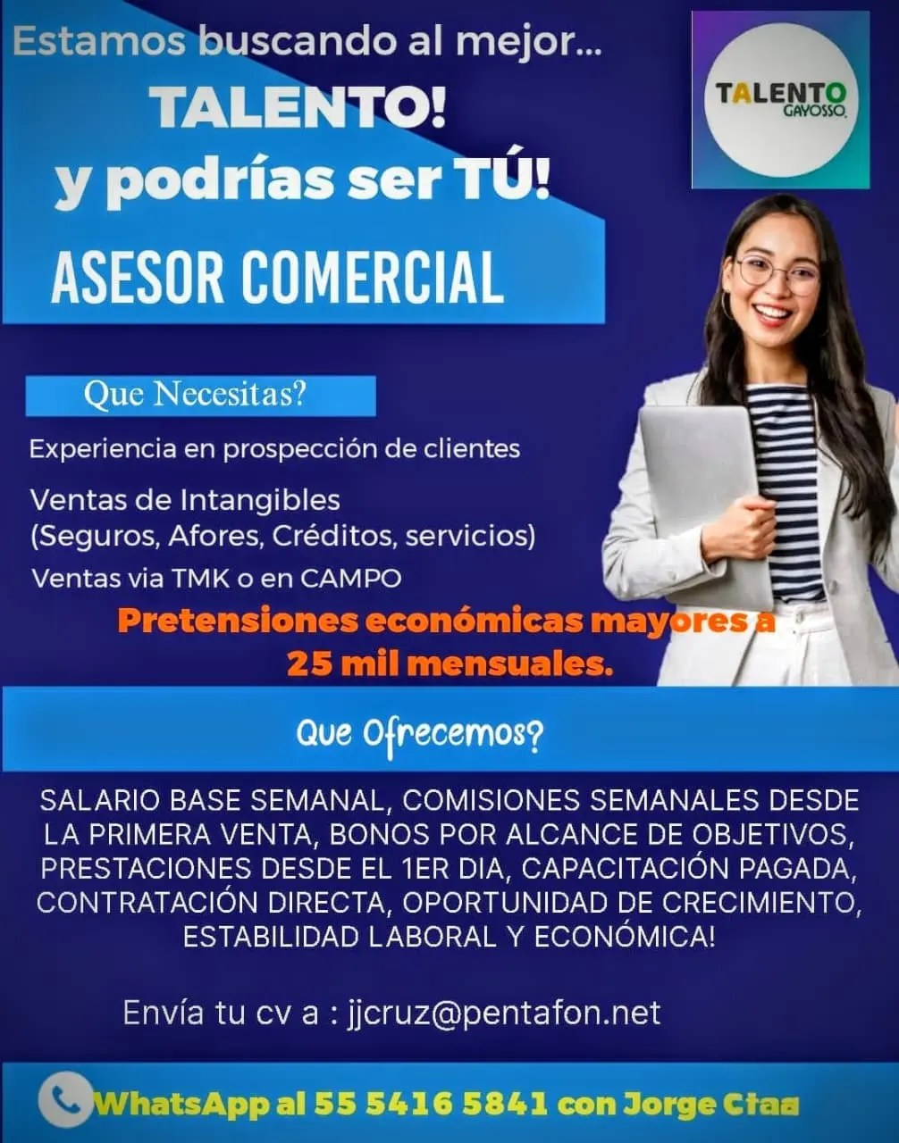 ASESOR DE VENTAS