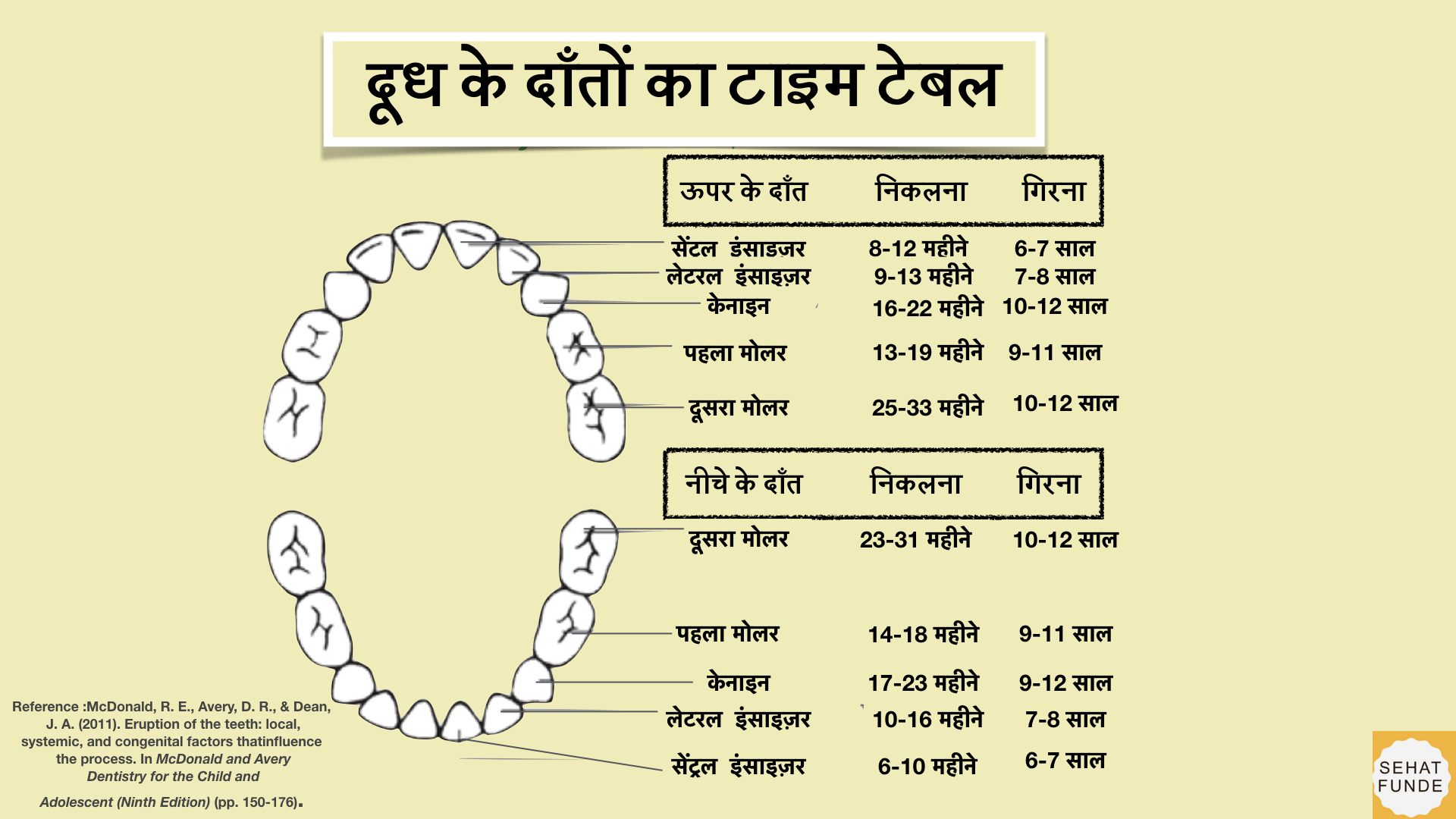 Teething Timeline in Babies Sehat Funde