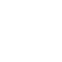 cpu
