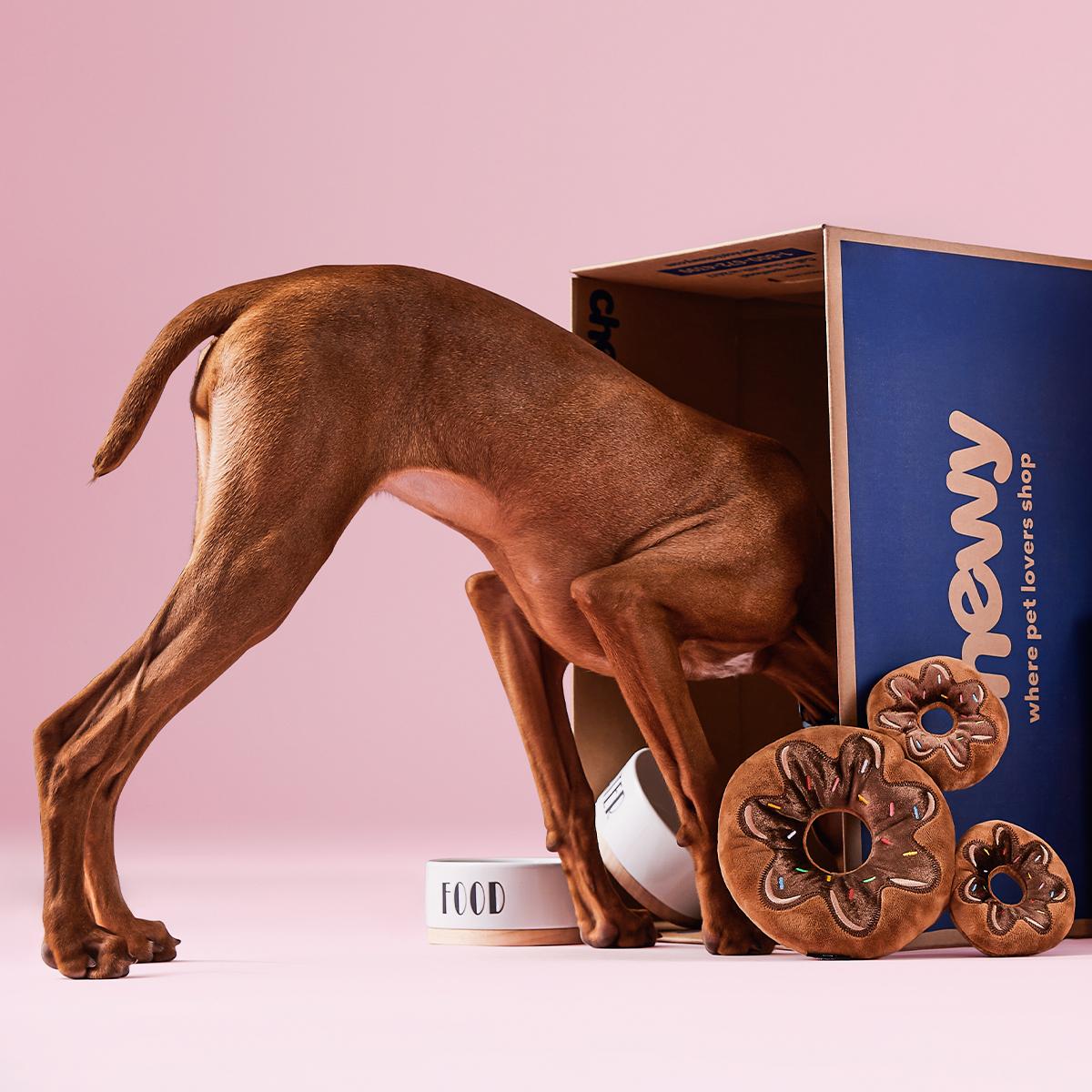 Chewy discount