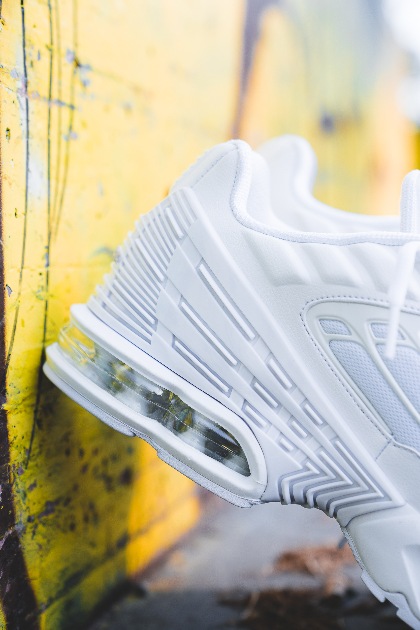 tn plus 3 triple white