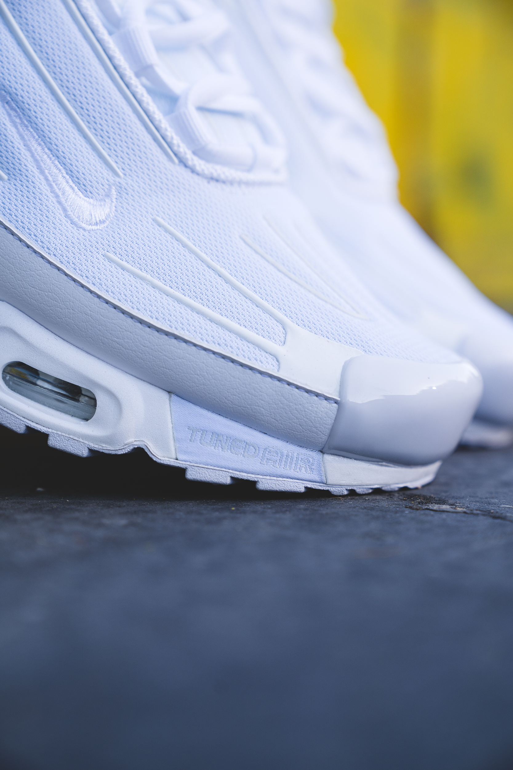 tn plus 3 triple white