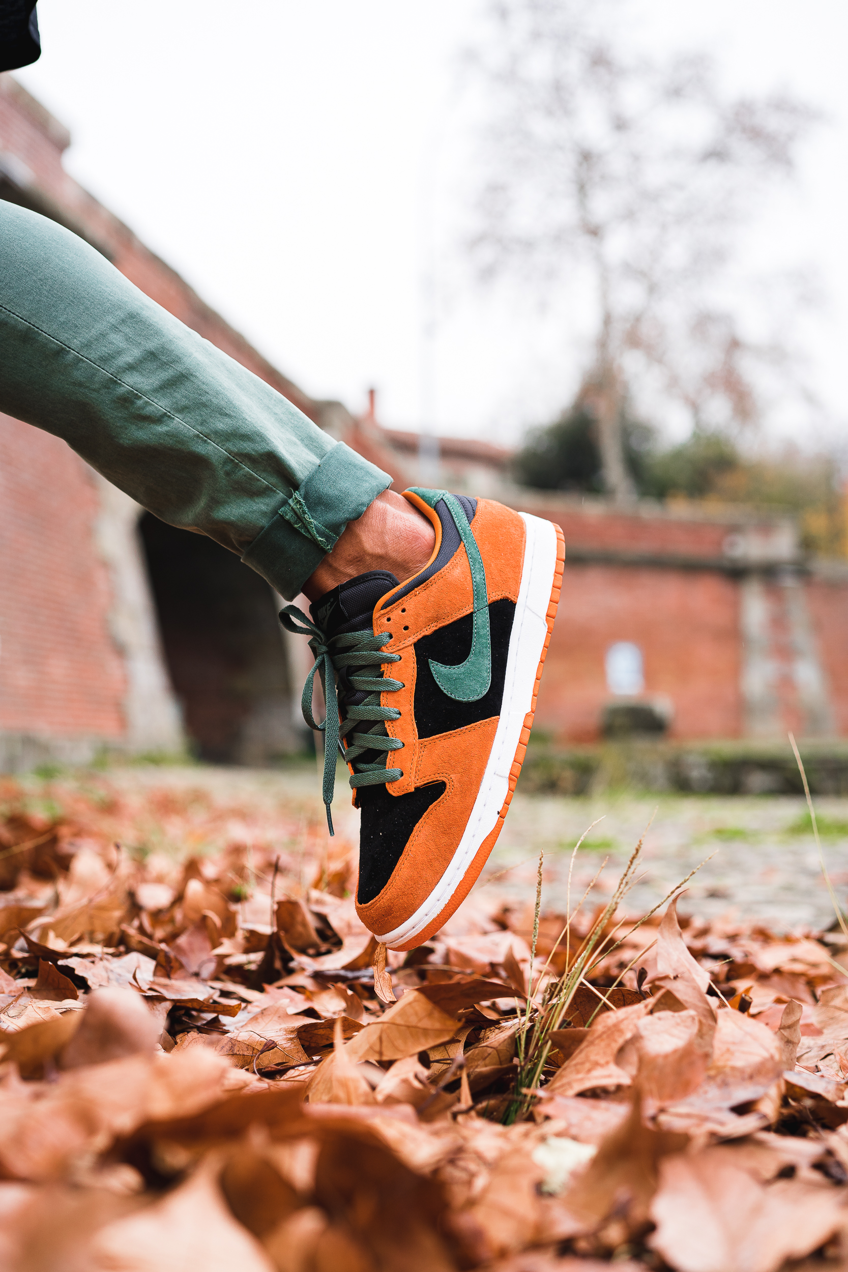 dunk low ceramic on feet