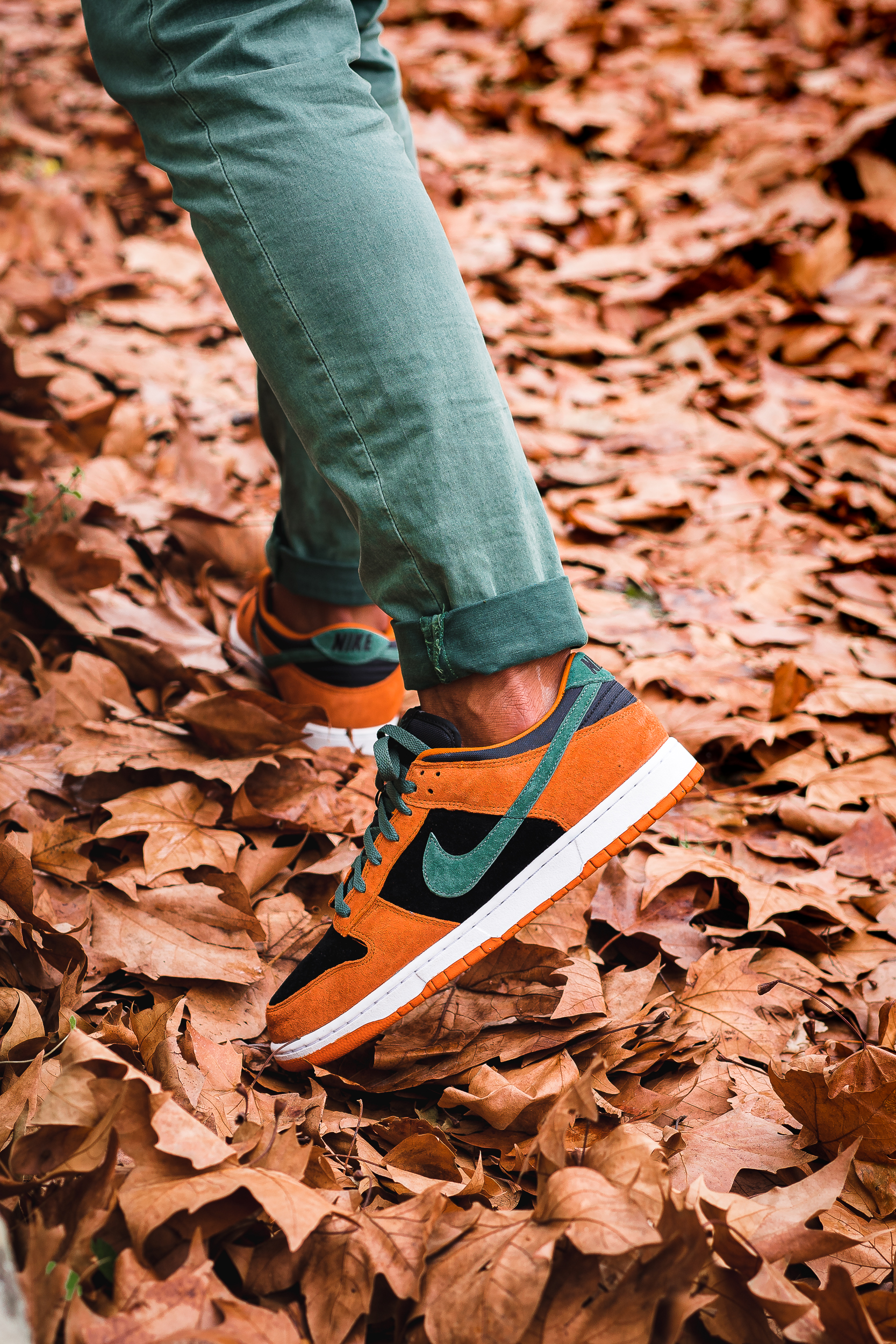 dunk low ceramic on feet