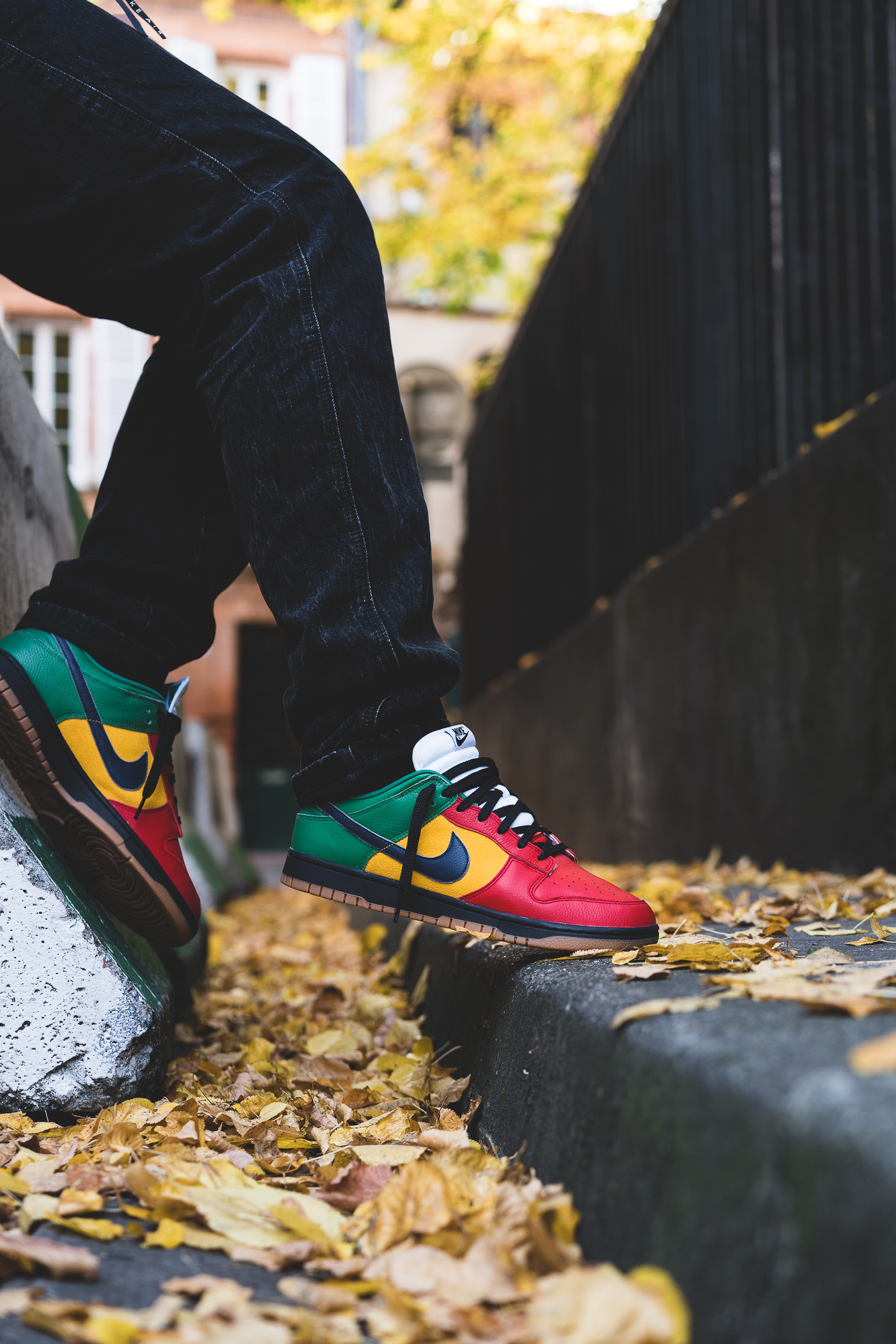 dunk low rasta