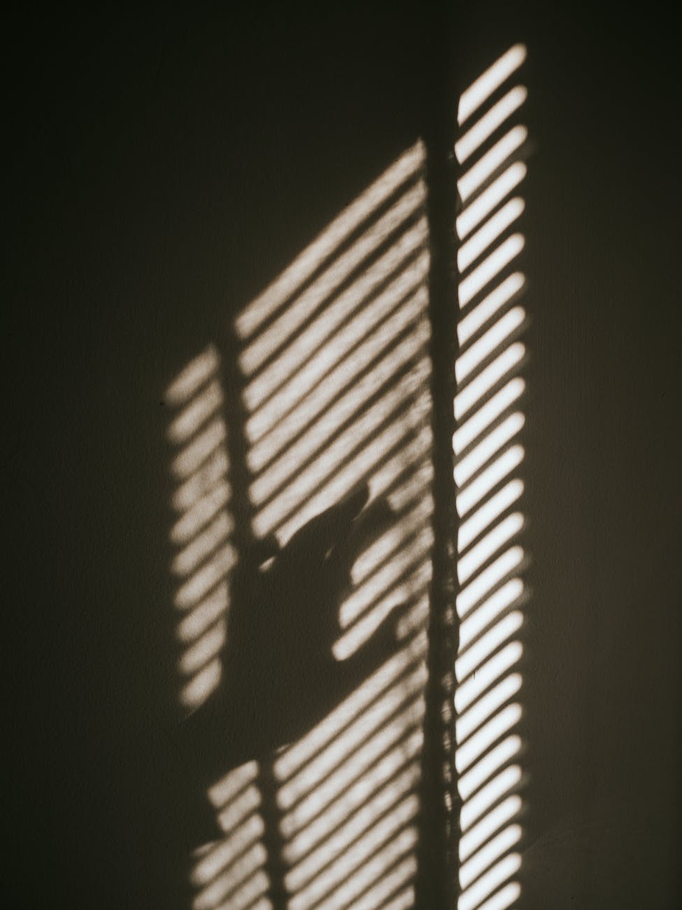 hand over blinds on window