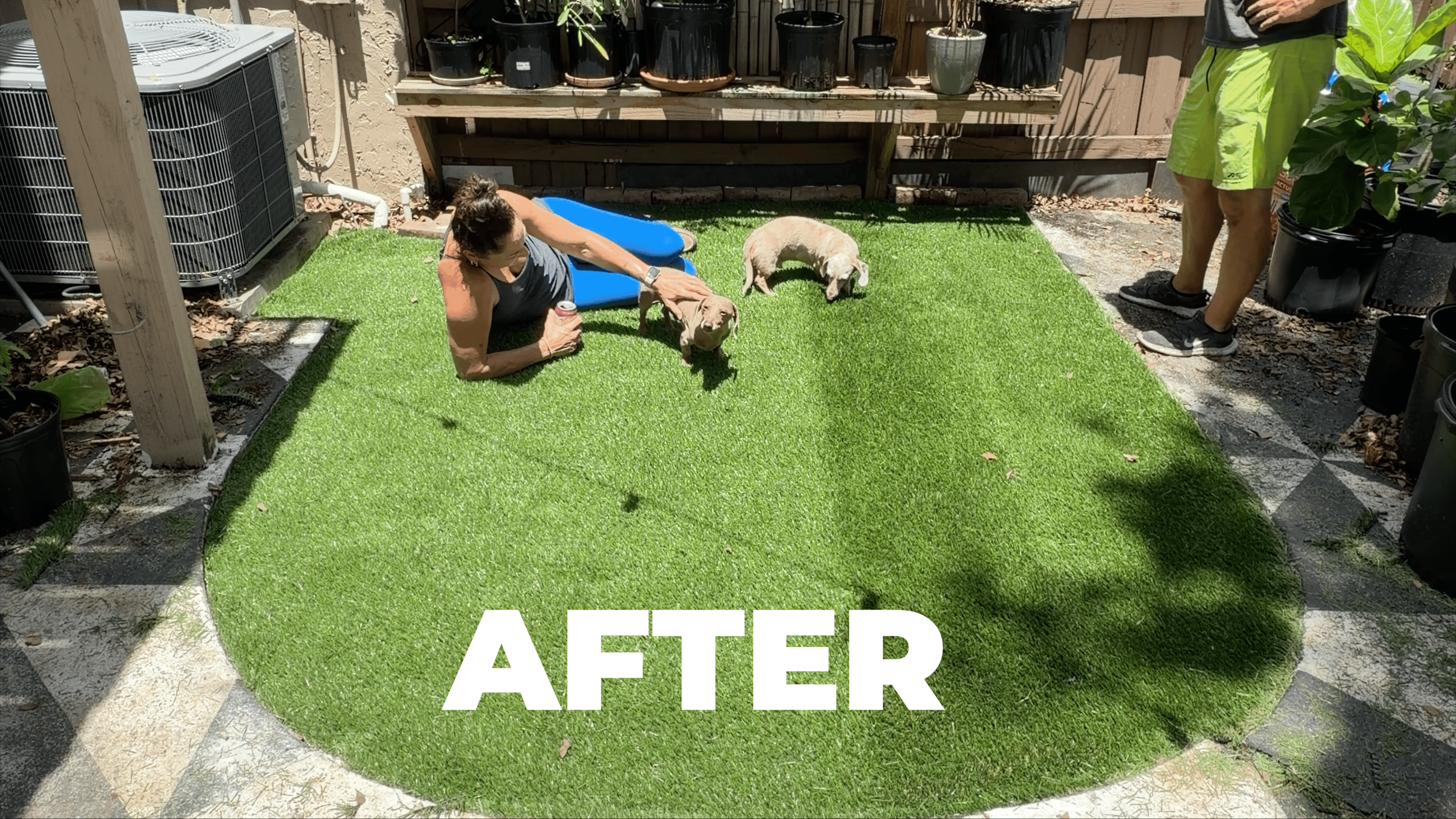 Front yard after a curb-appeal refresh with new turf and tidied landscaping