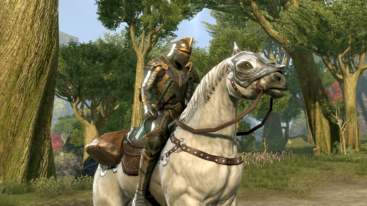 Return to Tamriel