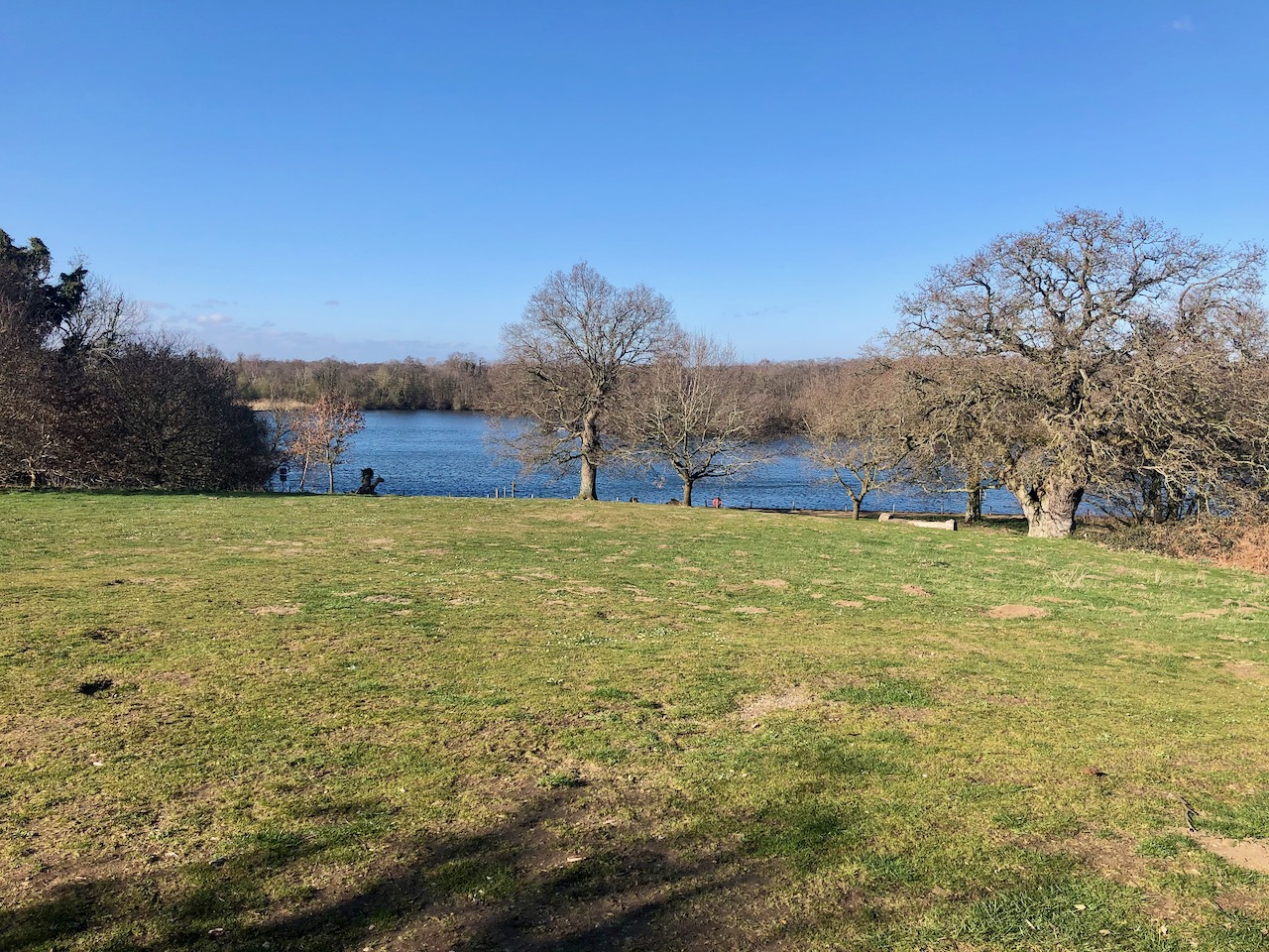 Salhouse Broad - view from top of hill