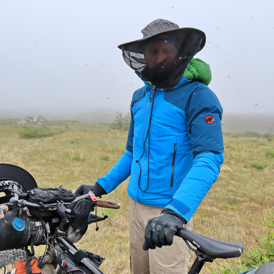 My memory is obviously faulty - I don't reall the mosquitoes ever being as bad as this. But here's proof to the contrary. Photo: J:Griffin