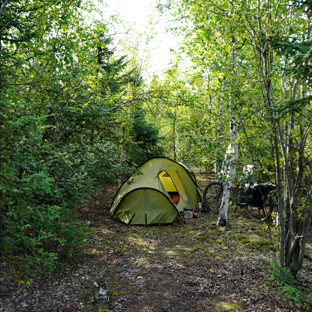 Camping in the woods off the TOTW Highway. I'd got a bit lazy, that food bag is far too close to my camp.
