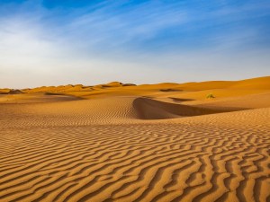 World Deserts Solved MCQs