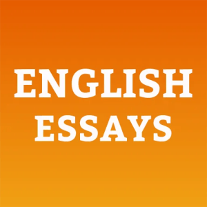 12th Class English Essays