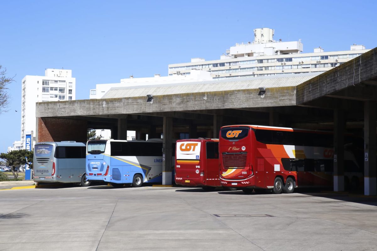 Abella aseguró que la Terminal de Punta del Este no se cierra y que los cambios buscan agilizar el tránsito, sumar seguridad y mejorar servicios