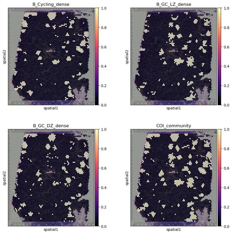 Question Visium Data And Pulling Out Cells With High Go Enrichment For - High Quality Landscape Background - Retina