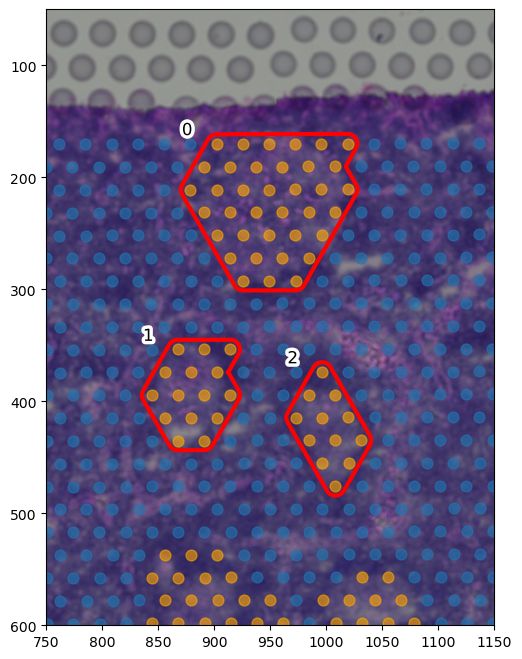 Cell Type Clustering Issue 9 Saezlab Visium Heart Github - Ultra HD City Patterns for Desktop