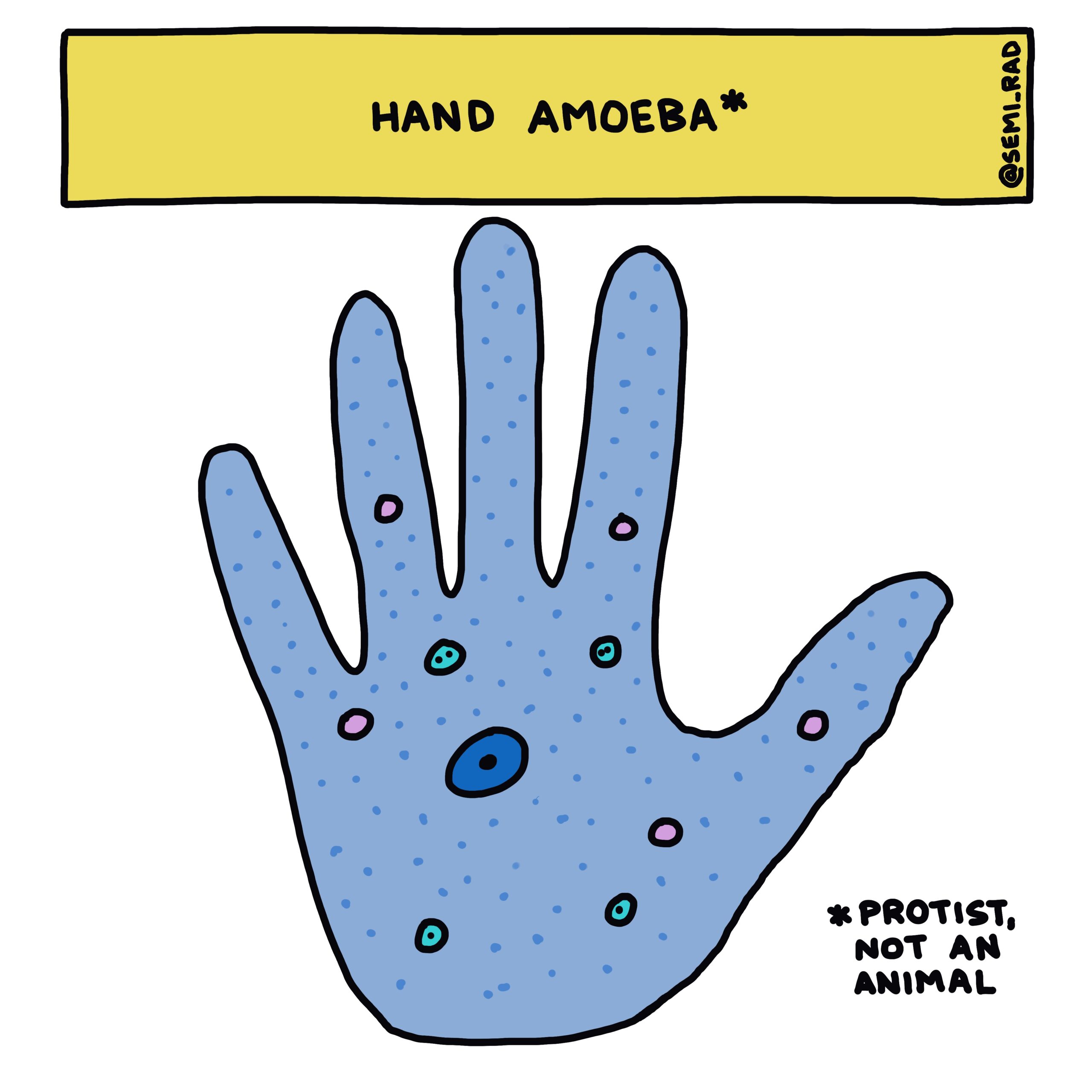 semi-rad hand amoeba