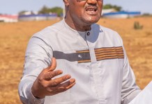 Cheikhou Oumar Bâ propulse le pôle agricole de Podor malgré l’hivernage