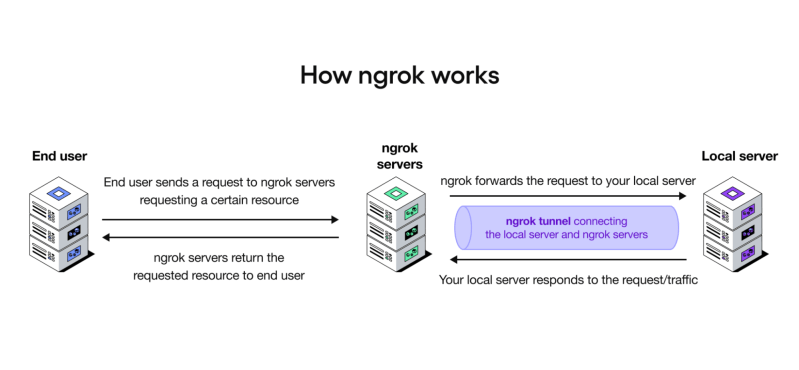 Quickstart Ngrok Documentation - Premium Light Illustration Gallery - Desktop