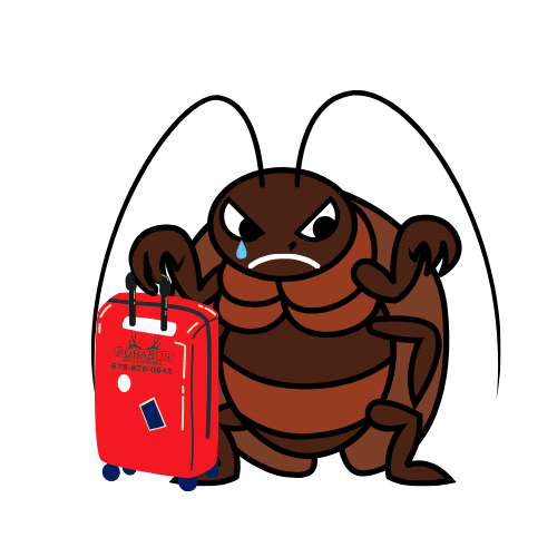 ants spray diy