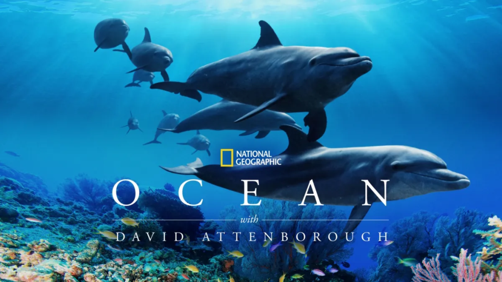 A group of dolphins swimming in clear blue ocean water, with colorful fish and coral visible in the foreground. The title 'OCEAN with David Attenborough' is displayed at the bottom, along with the National Geographic logo.